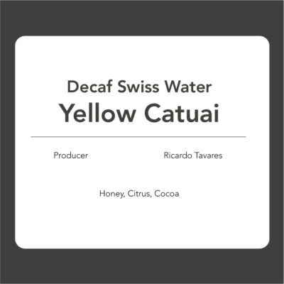 Decaf Swiss Water: Yellow Catuai -  Ricardo Tavares