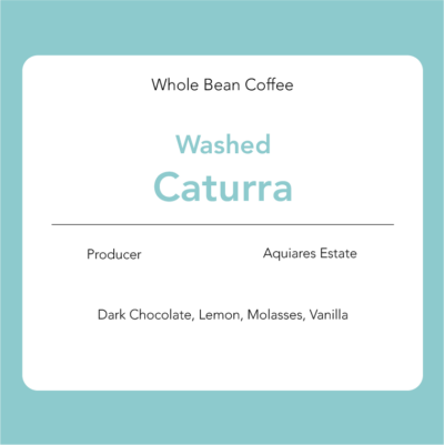 Caturra - Washed: Aquiares Estate